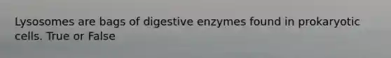 Lysosomes are bags of <a href='https://www.questionai.com/knowledge/kK14poSlmL-digestive-enzymes' class='anchor-knowledge'>digestive enzymes</a> found in <a href='https://www.questionai.com/knowledge/k1BuXhIsgo-prokaryotic-cells' class='anchor-knowledge'>prokaryotic cells</a>. True or False