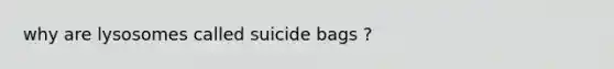 why are lysosomes called suicide bags ?