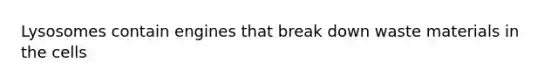 Lysosomes contain engines that break down waste materials in the cells