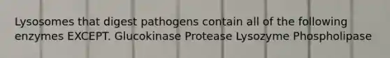 Lysosomes that digest pathogens contain all of the following enzymes EXCEPT. Glucokinase Protease Lysozyme Phospholipase