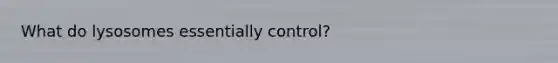 What do lysosomes essentially control?