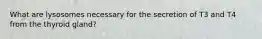 What are lysosomes necessary for the secretion of T3 and T4 from the thyroid gland?