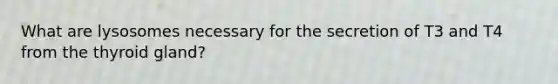 What are lysosomes necessary for the secretion of T3 and T4 from the thyroid gland?