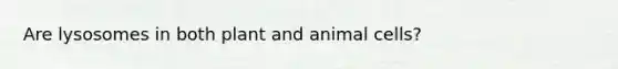 Are lysosomes in both plant and animal cells?