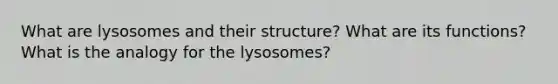 What are lysosomes and their structure? What are its functions? What is the analogy for the lysosomes?