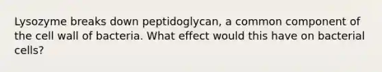 Lysozyme breaks down peptidoglycan, a common component of the cell wall of bacteria. What effect would this have on bacterial cells?