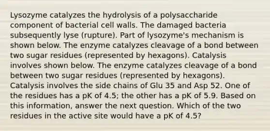 Lysozyme catalyzes the hydrolysis of a polysaccharide component of bacterial cell walls. The damaged bacteria subsequently lyse (rupture). Part of lysozyme's mechanism is shown below. The enzyme catalyzes cleavage of a bond between two sugar residues (represented by hexagons). Catalysis involves shown below. The enzyme catalyzes cleavage of a bond between two sugar residues (represented by hexagons). Catalysis involves the side chains of Glu 35 and Asp 52. One of the residues has a pK of 4.5; the other has a pK of 5.9. Based on this information, answer the next question. Which of the two residues in the active site would have a pK of 4.5?