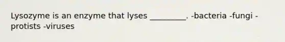 Lysozyme is an enzyme that lyses _________. -bacteria -fungi -protists -viruses