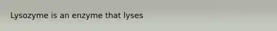 Lysozyme is an enzyme that lyses