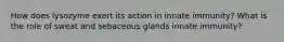 How does lysozyme exert its action in innate immunity? What is the role of sweat and sebaceous glands innate immunity?