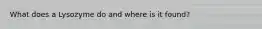 What does a Lysozyme do and where is it found?