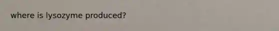 where is lysozyme produced?