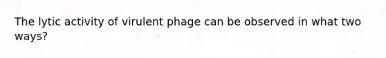 The lytic activity of virulent phage can be observed in what two ways?