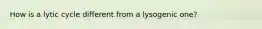 How is a lytic cycle different from a lysogenic one?