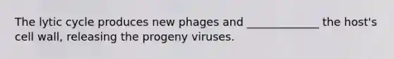 The lytic cycle produces new phages and _____________ the host's cell wall, releasing the progeny viruses.