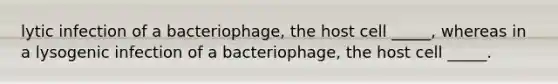 lytic infection of a bacteriophage, the host cell _____, whereas in a lysogenic infection of a bacteriophage, the host cell _____.