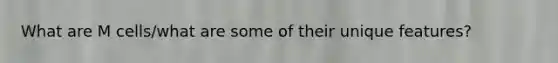 What are M cells/what are some of their unique features?