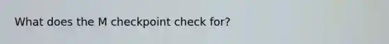 What does the M checkpoint check for?