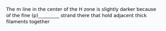 The m line in the center of the H zone is slightly darker because of the fine (p)_________ strand there that hold adjacent thick filaments together