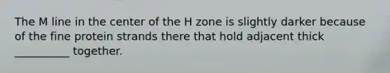 The M line in the center of the H zone is slightly darker because of the fine protein strands there that hold adjacent thick __________ together.