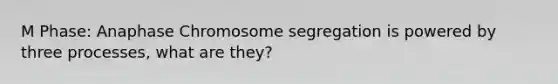 M Phase: Anaphase Chromosome segregation is powered by three processes, what are they?