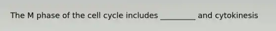 The M phase of the <a href='https://www.questionai.com/knowledge/keQNMM7c75-cell-cycle' class='anchor-knowledge'>cell cycle</a> includes _________ and cytokinesis