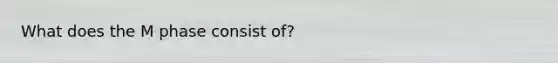 What does the M phase consist of?