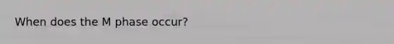 When does the M phase occur?
