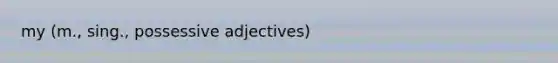 my (m., sing., <a href='https://www.questionai.com/knowledge/k9puyd0QEM-possessive-adjectives' class='anchor-knowledge'>possessive adjectives</a>)