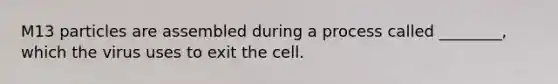 M13 particles are assembled during a process called ________, which the virus uses to exit the cell.