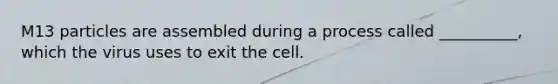 M13 particles are assembled during a process called __________, which the virus uses to exit the cell.