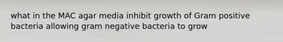 what in the MAC agar media inhibit growth of Gram positive bacteria allowing gram negative bacteria to grow