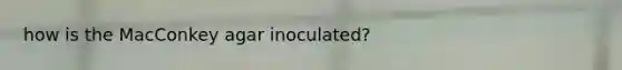 how is the MacConkey agar inoculated?