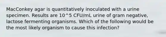 MacConkey agar is quantitatively inoculated with a urine specimen. Results are 10^5 CFU/mL urine of gram negative, lactose fermenting organisms. Which of the following would be the most likely organism to cause this infection?