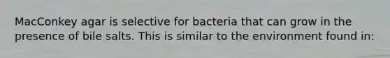 MacConkey agar is selective for bacteria that can grow in the presence of bile salts. This is similar to the environment found in: