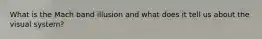 What is the Mach band illusion and what does it tell us about the visual system?