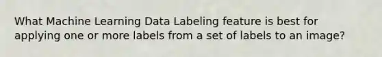What Machine Learning Data Labeling feature is best for applying one or more labels from a set of labels to an image?