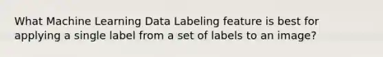 What Machine Learning Data Labeling feature is best for applying a single label from a set of labels to an image?