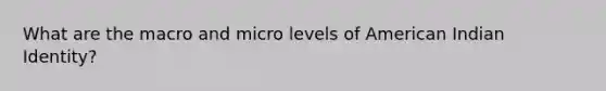 What are the macro and micro levels of American Indian Identity?