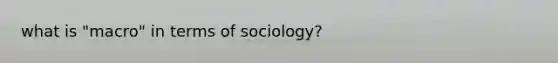 what is "macro" in terms of sociology?