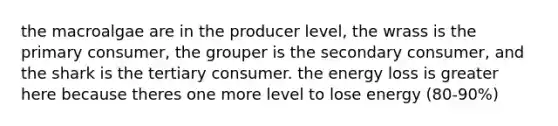 the macroalgae are in the producer level, the wrass is the primary consumer, the grouper is the secondary consumer, and the shark is the tertiary consumer. the energy loss is greater here because theres one more level to lose energy (80-90%)