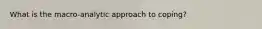 What is the macro-analytic approach to coping?