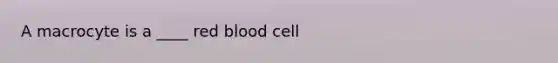 A macrocyte is a ____ red blood cell