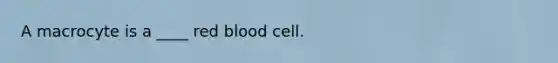 A macrocyte is a ____ red blood cell.