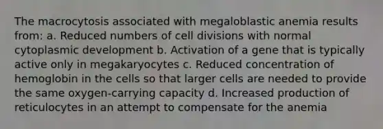 The macrocytosis associated with megaloblastic anemia results from: a. Reduced numbers of cell divisions with normal cytoplasmic development b. Activation of a gene that is typically active only in megakaryocytes c. Reduced concentration of hemoglobin in the cells so that larger cells are needed to provide the same oxygen-carrying capacity d. Increased production of reticulocytes in an attempt to compensate for the anemia