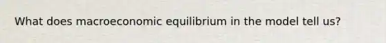 What does macroeconomic equilibrium in the model tell us?