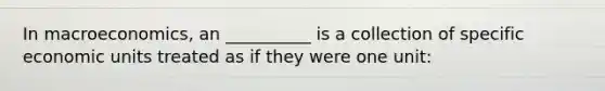 In macroeconomics, an __________ is a collection of specific economic units treated as if they were one unit: