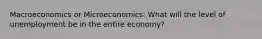 Macroeconomics or Microeconomics: What will the level of unemployment be in the entire economy?