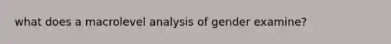 what does a macrolevel analysis of gender examine?