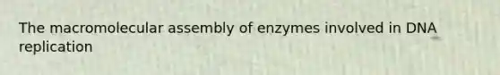 The macromolecular assembly of enzymes involved in DNA replication